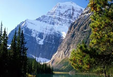 B体育官方-法国速滑队勇夺冠军，成为焦点人物