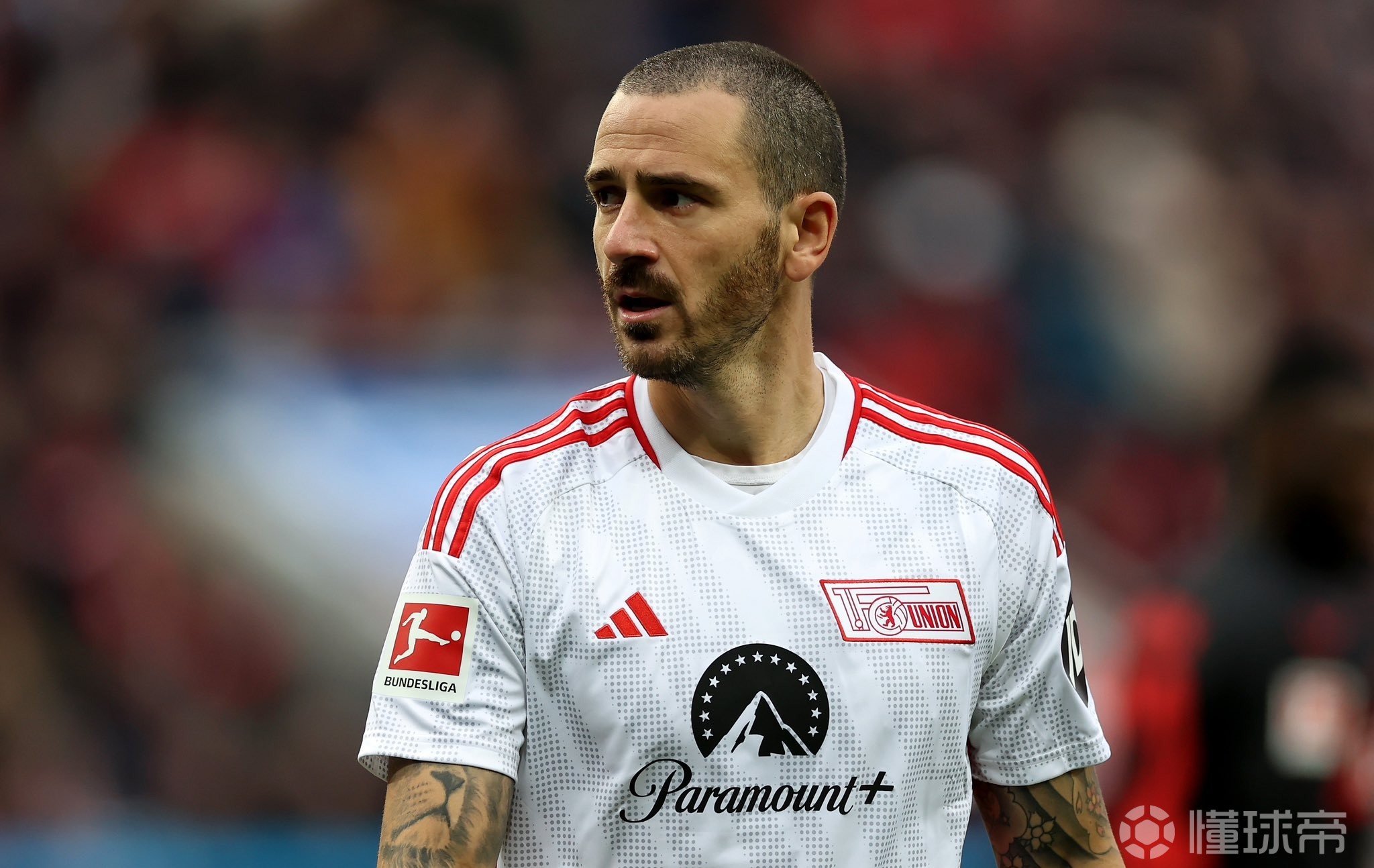 包含AC米兰有意引进博努奇，博努奇未来或将投奔米兰的词条